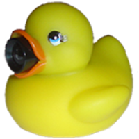 CAM Duck - final version